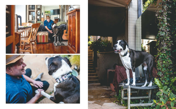 harper-collins-rescue-dogs-on-doorsteps