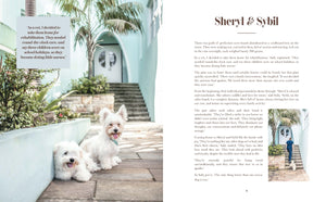 harper-collins-rescue-dogs-on-doorsteps