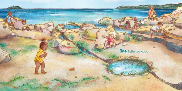harper-collins-in-the-rockpool
