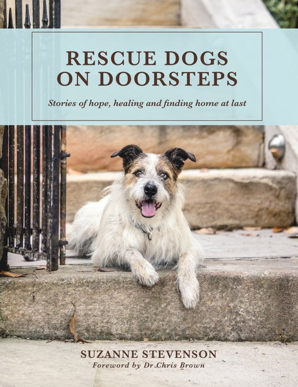 harper-collins-rescue-dogs-on-doorsteps