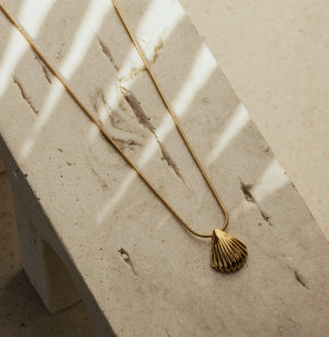 faya-co-alexie-shell-necklace