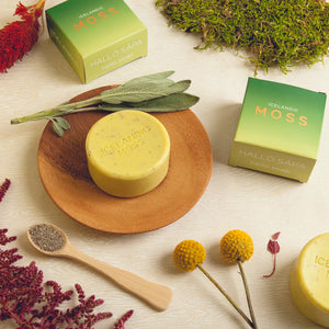 Icelandic Soap Moss