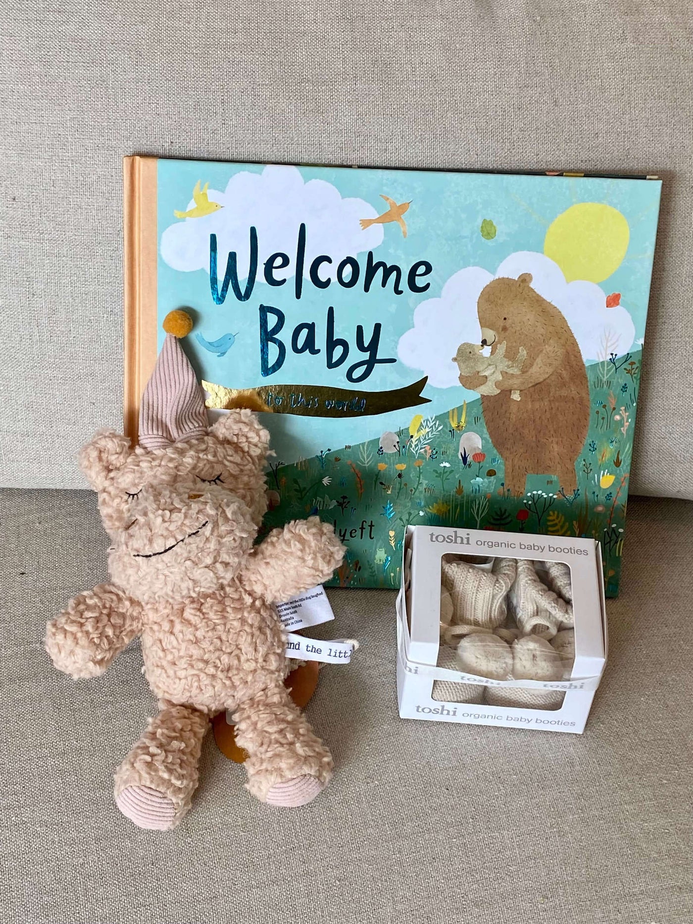 A Little Welcome for the Littlest One - Hippo