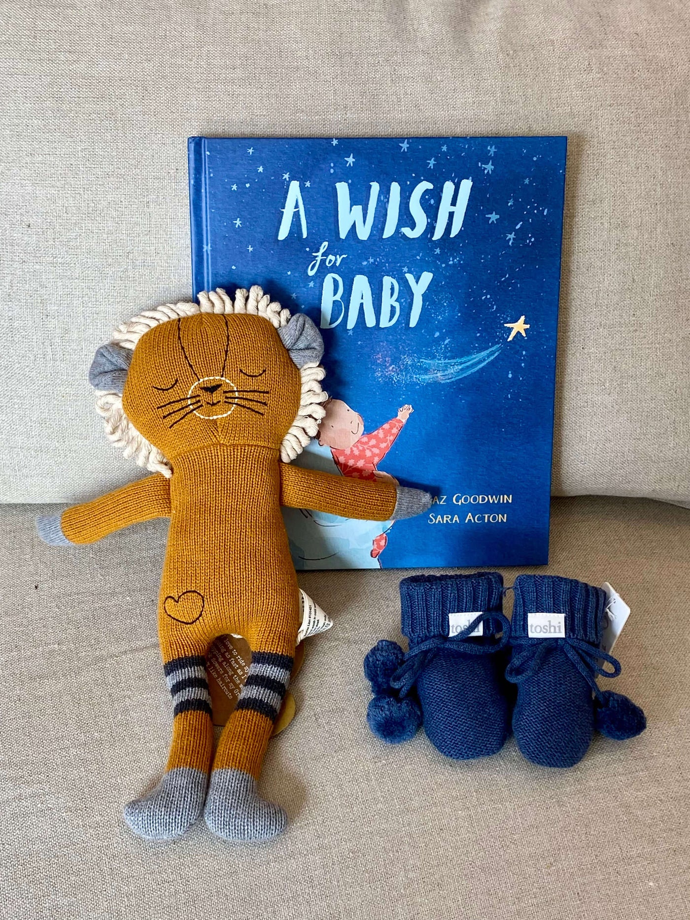 A Little Wish for the Littlest One - Lion