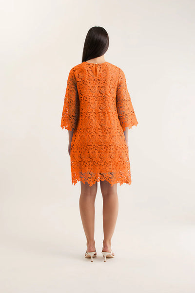Claire Lace Dress - Tangerine