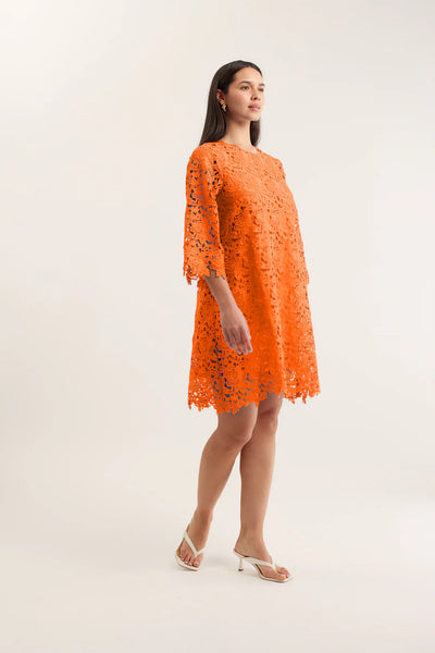 Claire Lace Dress - Tangerine