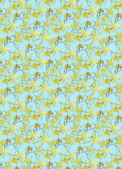 All Wrapped Up - May Gibbs