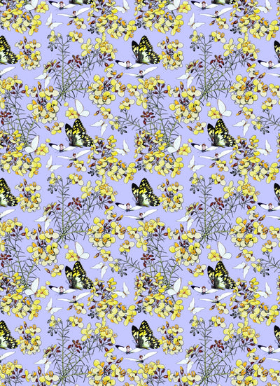 All Wrapped Up - May Gibbs