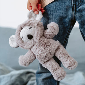 Morton the Koala