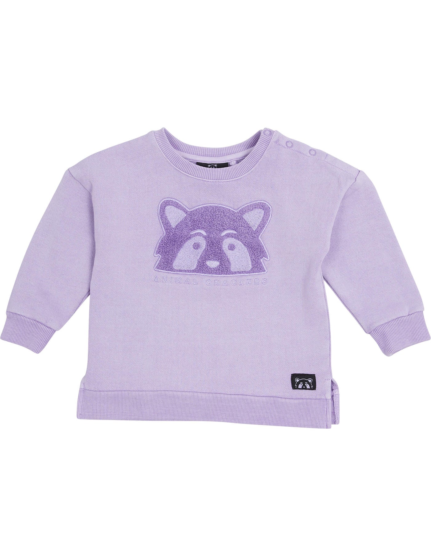 Raffael Crew - Purple