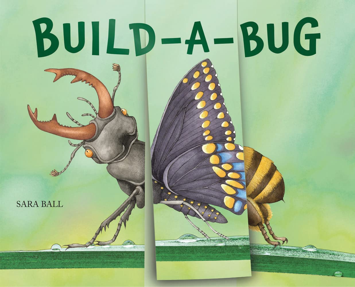 Creating A Bug Build-a-Bug