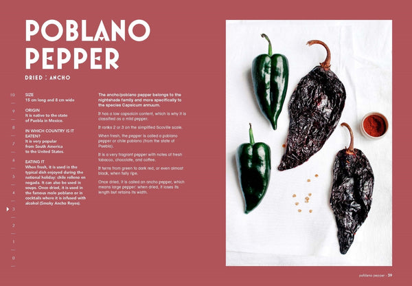 Chillies - Sophie Dupuis-Gaulier