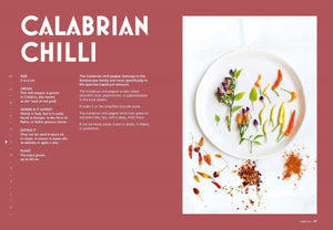 Chillies - Sophie Dupuis-Gaulier
