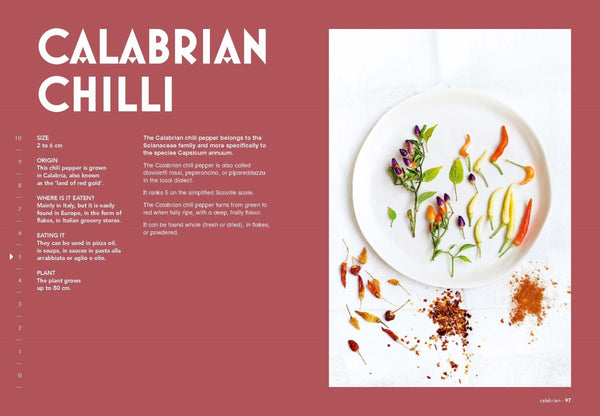Chillies - Sophie Dupuis-Gaulier