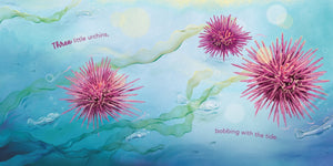 harper-collins-in-the-rockpool