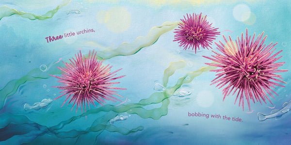 harper-collins-in-the-rockpool