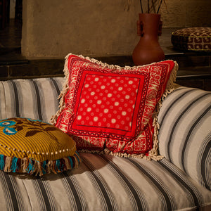 sage-x-clare-odessa-reversible-cushion-poppy-feather-insert