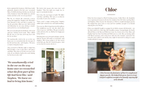 harper-collins-rescue-dogs-on-doorsteps