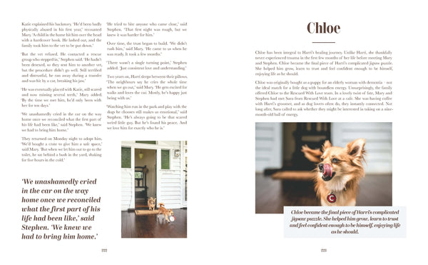 harper-collins-rescue-dogs-on-doorsteps