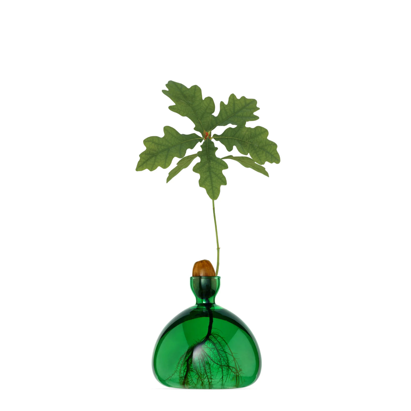 Acorn - Emerald Green