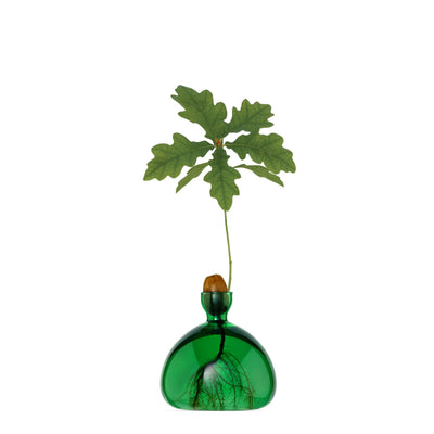 Acorn - Emerald Green