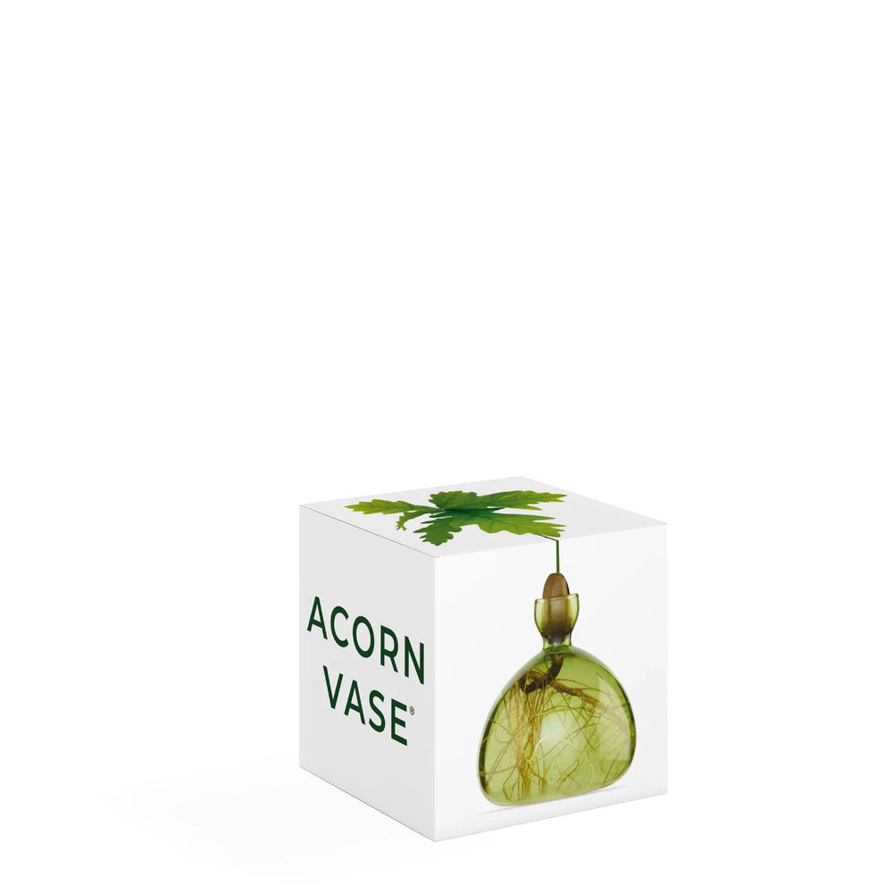 Acorn - Grass Green