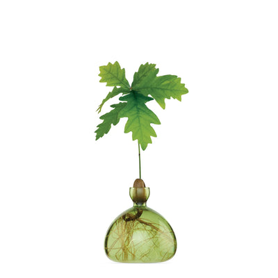 Acorn - Grass Green