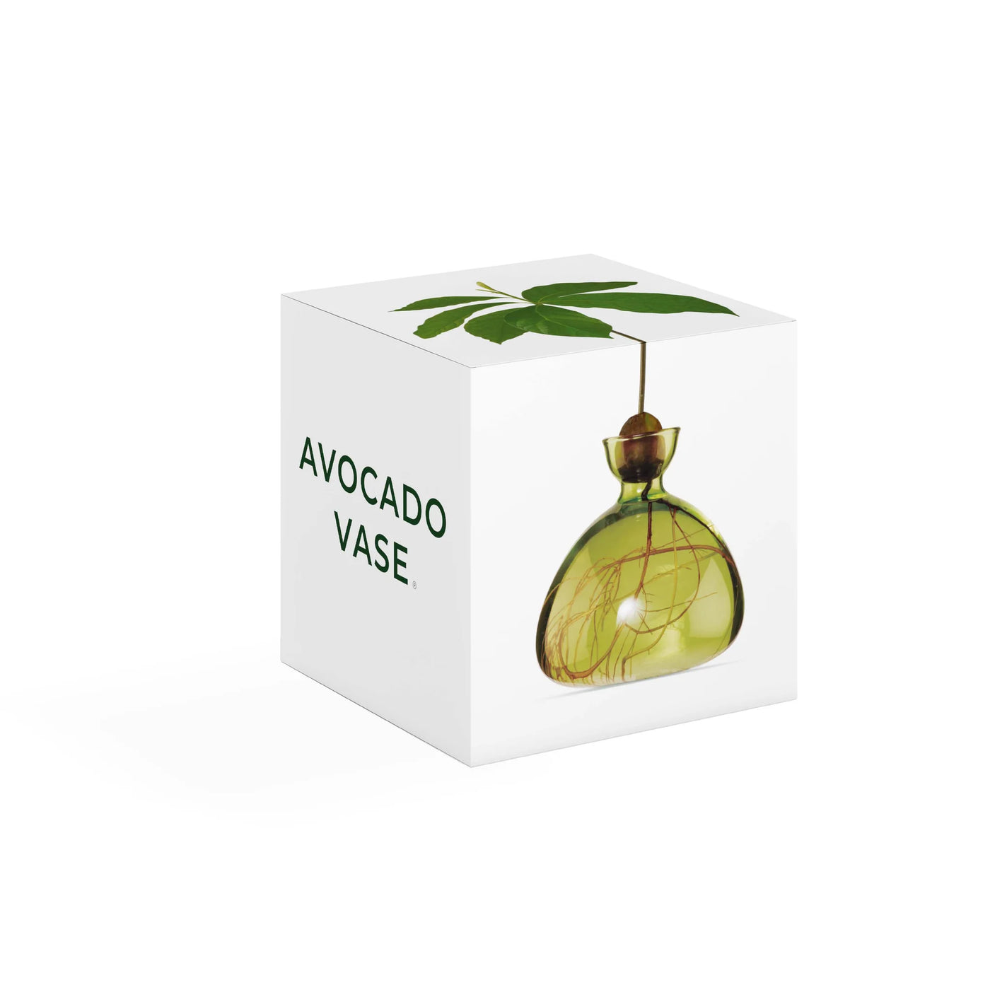 Avocado - Grass Green