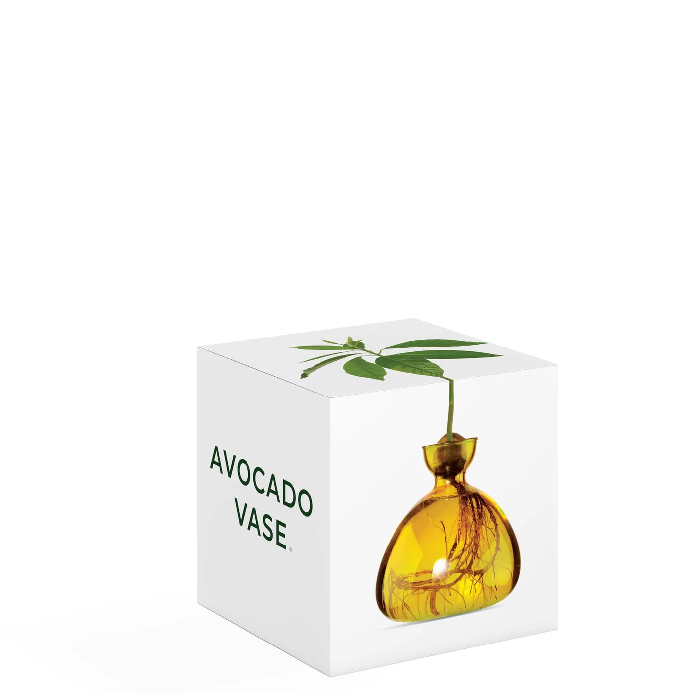 Avocado - Mellow Yellow