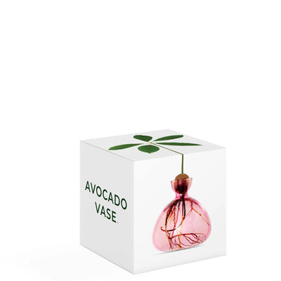 Avocado - Rose Pink