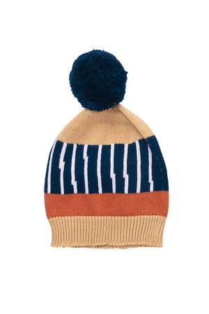Zebra Beanie