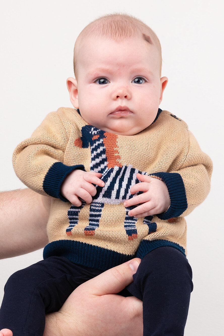 Zebra Jumper