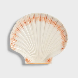 Klevering Plate Cockle