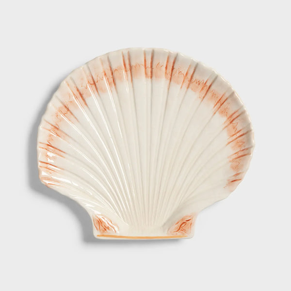 Klevering Plate Cockle
