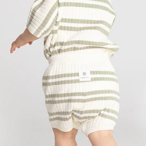 Knit Rib Short - Sage Stripe