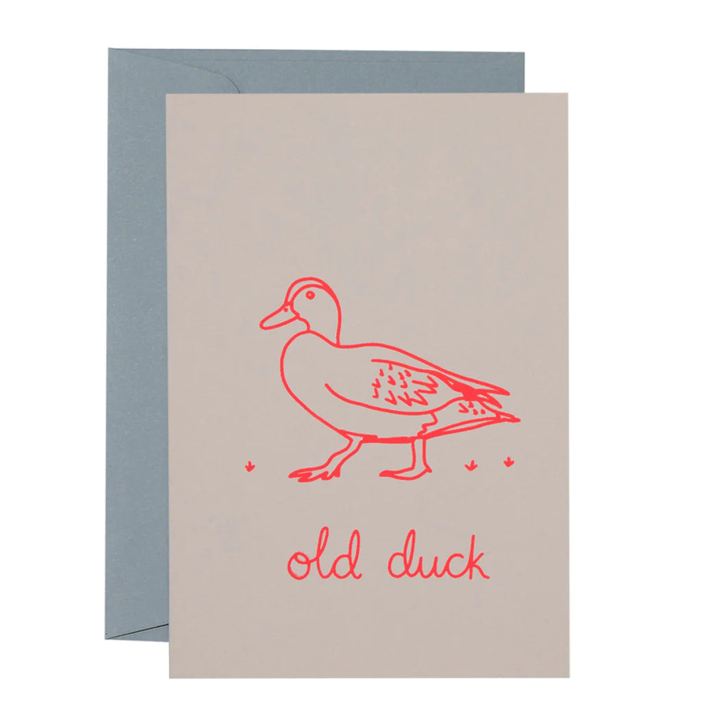 Sketchy Old Duck