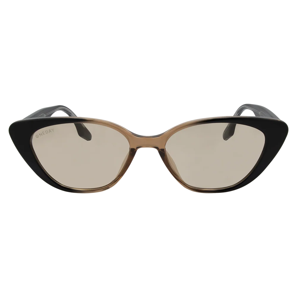 Celine Black/Brown