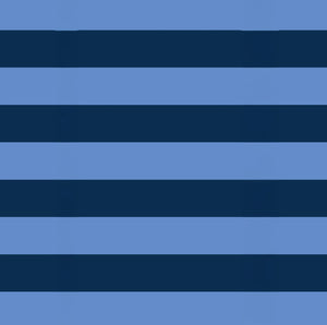 Mini Zip Pouch - Blue Stripe