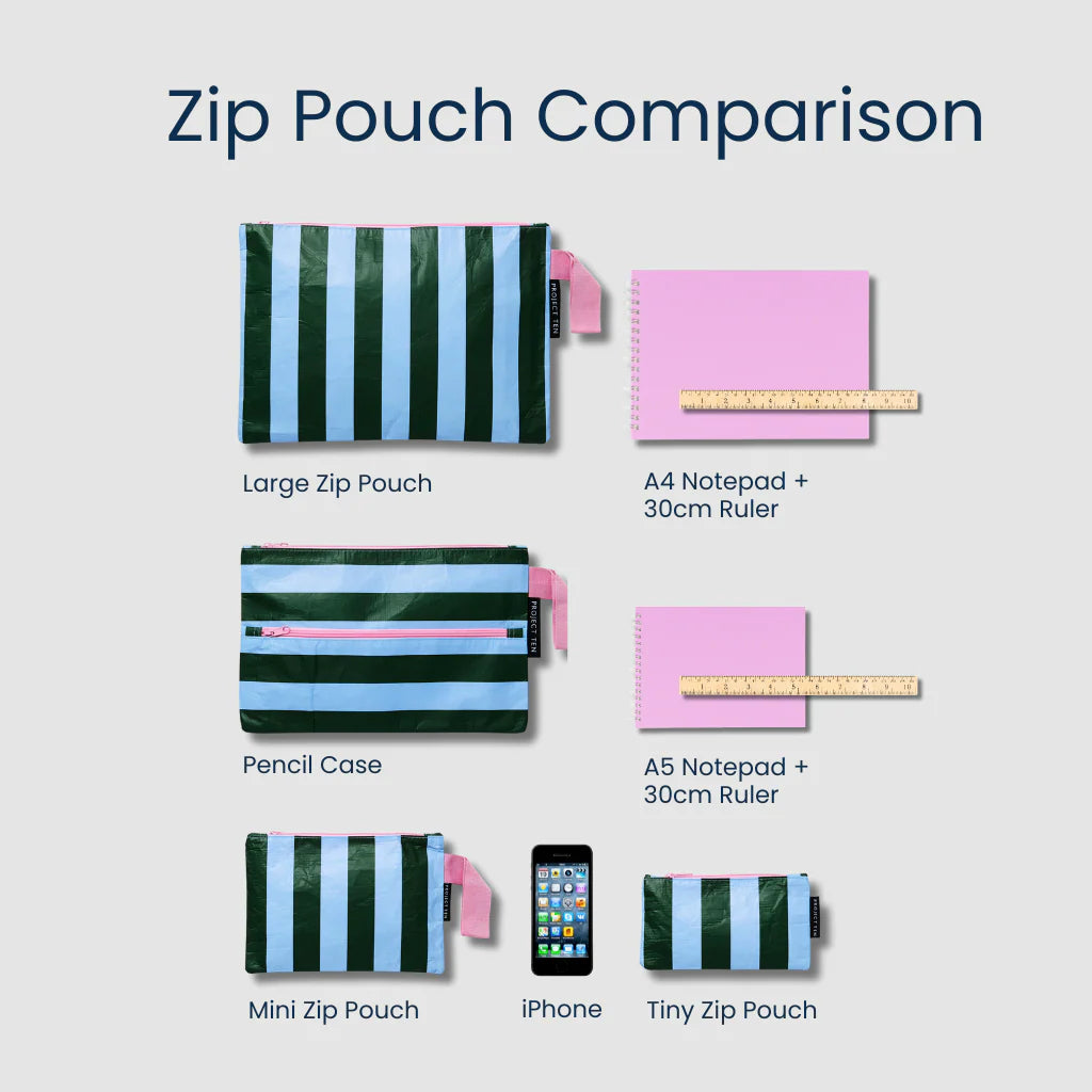 Mini Zip Pouch - Multi Stripe