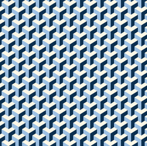 Pencil Case - Maze