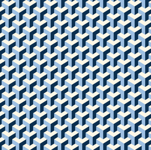 Pencil Case - Maze