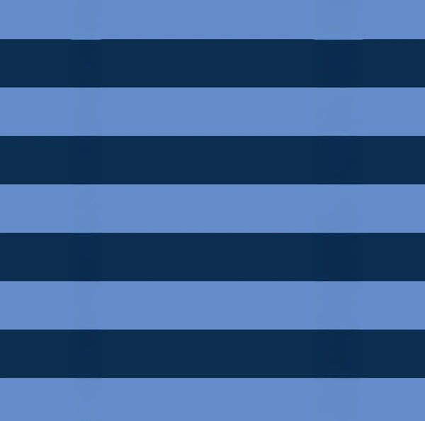 Zip Medium Tote - Blue Stripe