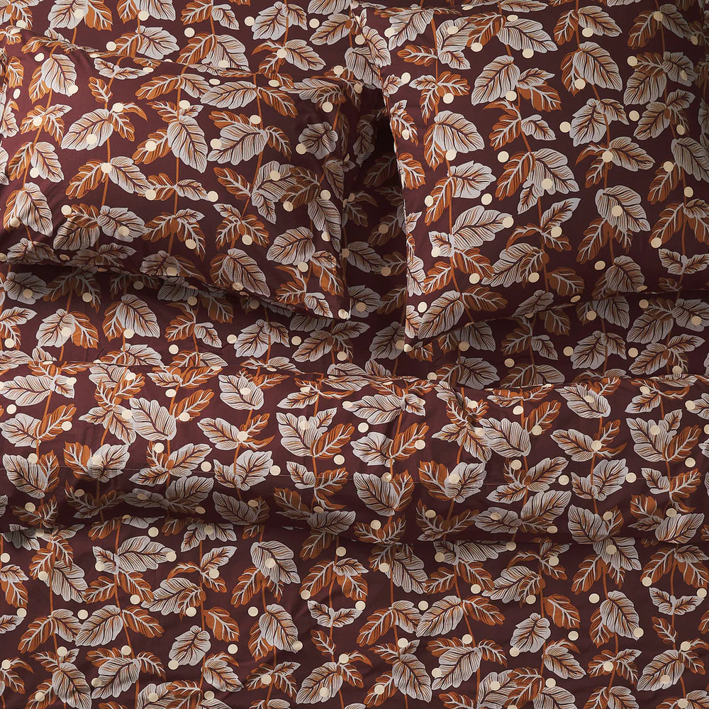 Sorana Cotton Euro Pillowcase Set