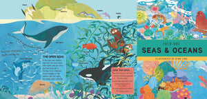 Seas & Oceans: A Magical Pop-Up Book