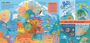 Seas & Oceans: A Magical Pop-Up Book