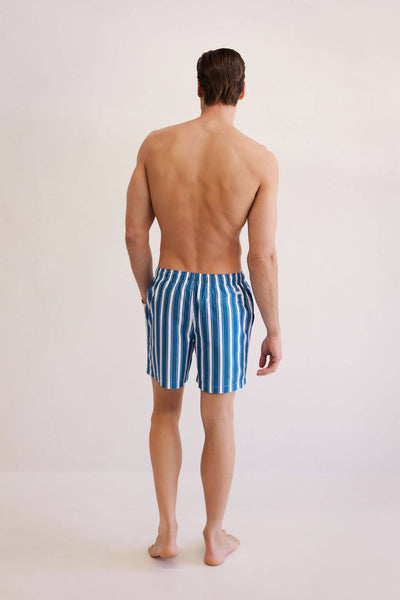 Cabana Stripe Swim Short