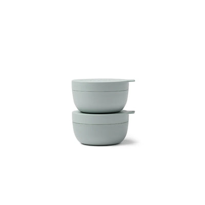 Minis - Eucalyptus (Set of 2)