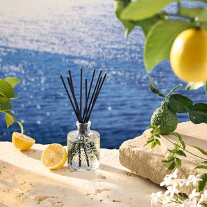 Mediterranean Lemon Candles