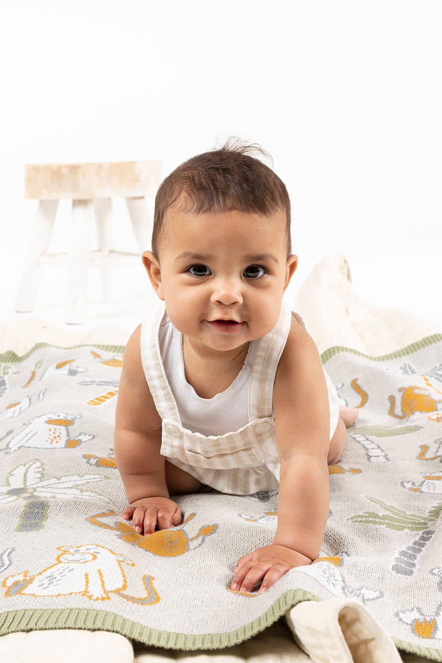 Cheeky Monkey Blanket