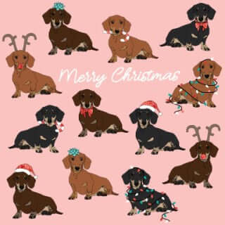 Christmas Dachshund Card Pack